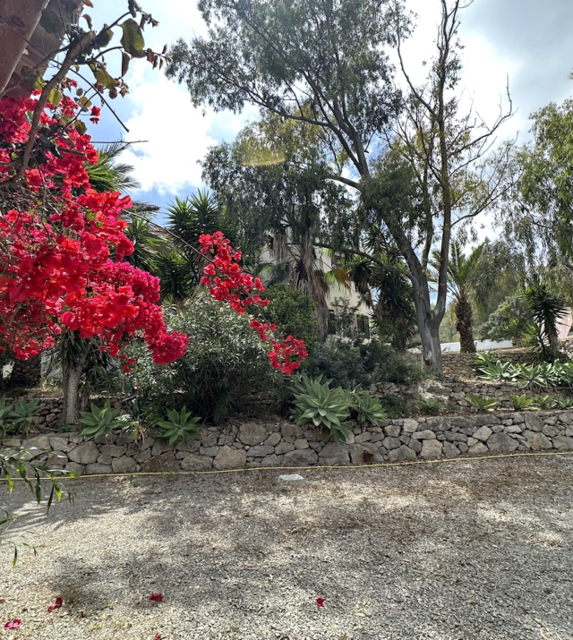 Resa estates Ibiza villa to renovate san jose flowers.jpg